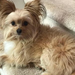 Meet your Posher, Stacy